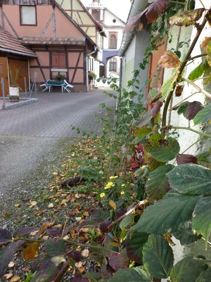 Gites Petermann Marckolsheim Kültér fotó
