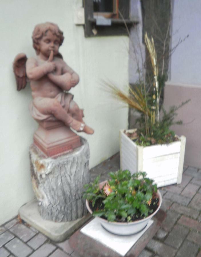 Gites Petermann Marckolsheim Kültér fotó
